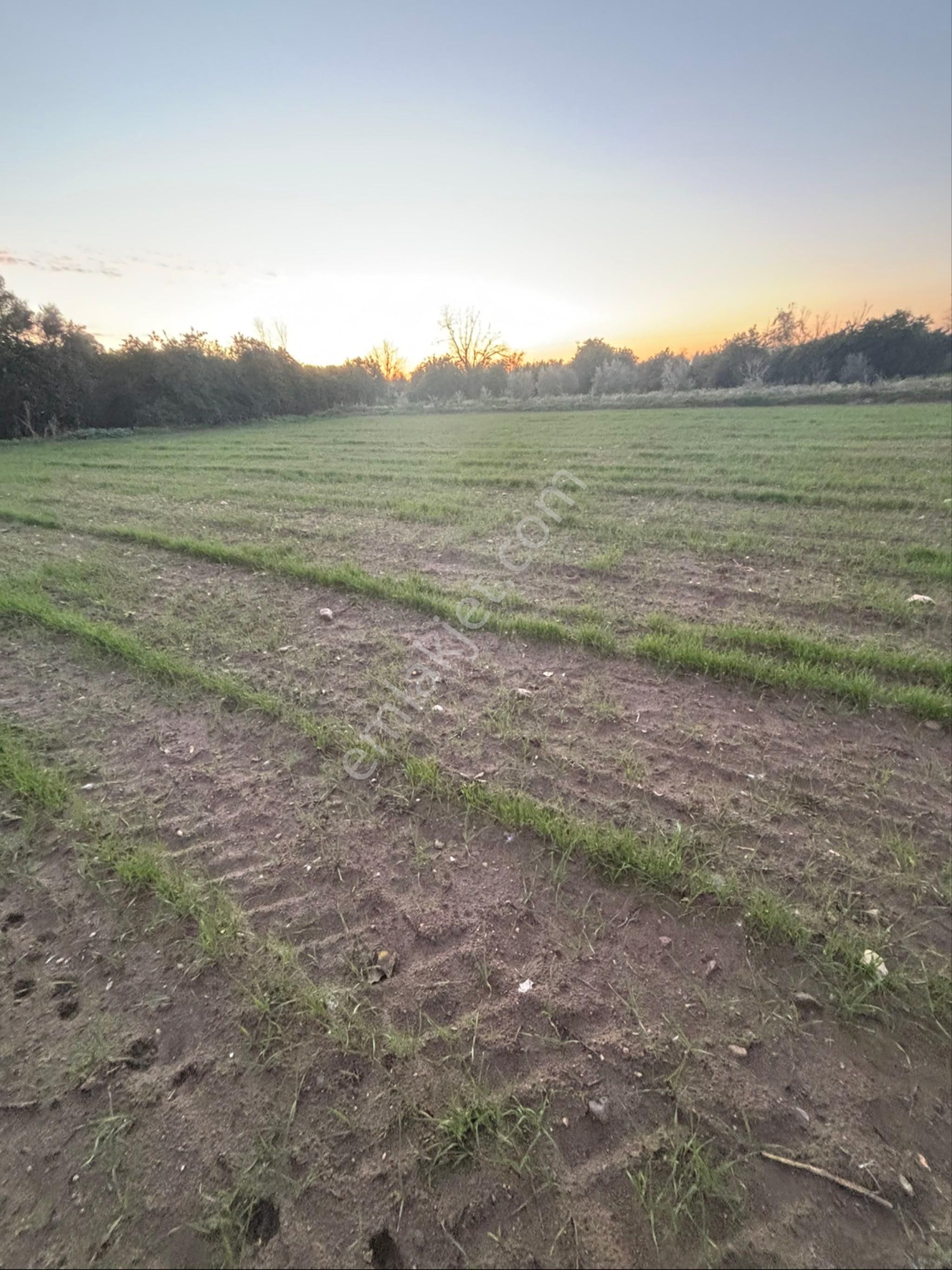 Sezgin Emlak Dan Nazilli Sinekler Asfalt Kenarı Satılık Bahçe - Görsel 18