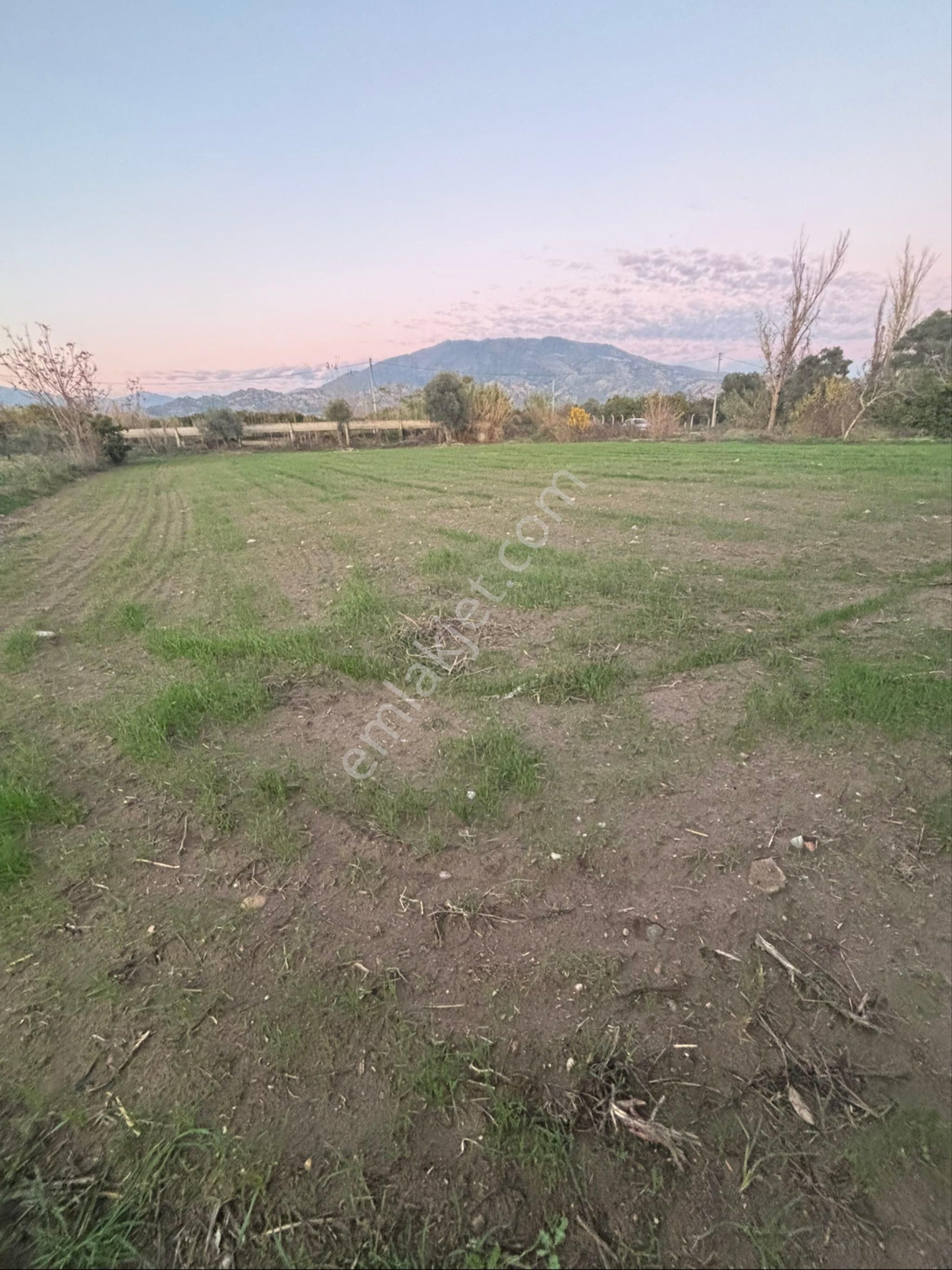 Sezgin Emlak Dan Nazilli Sinekler Asfalt Kenarı Satılık Bahçe - Görsel 14