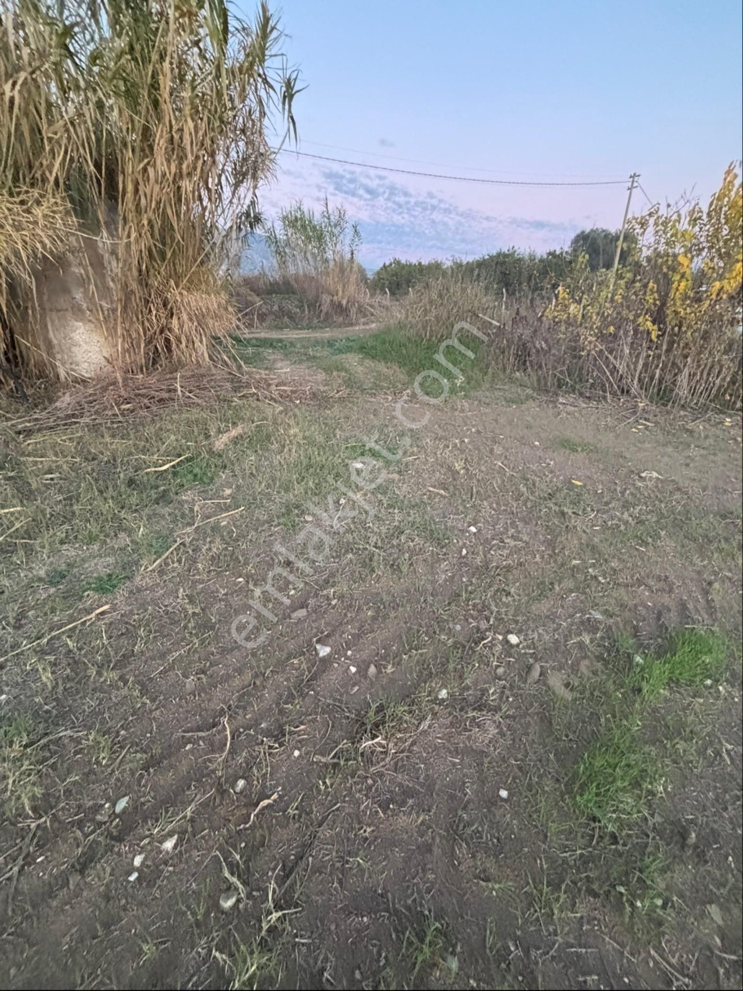 Sezgin Emlak Dan Nazilli Sinekler Asfalt Kenarı Satılık Bahçe - Görsel 5