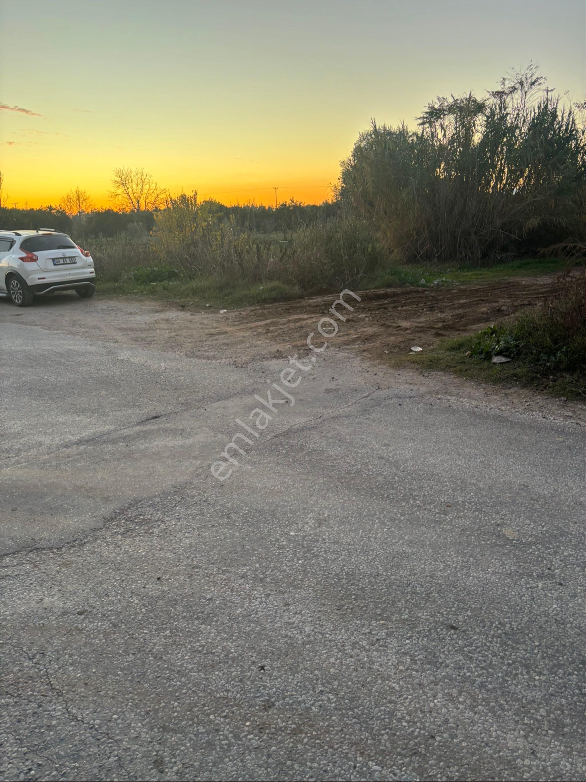 Sezgin Emlak Dan Nazilli Sinekler Asfalt Kenarı Satılık Bahçe - Görsel 3
