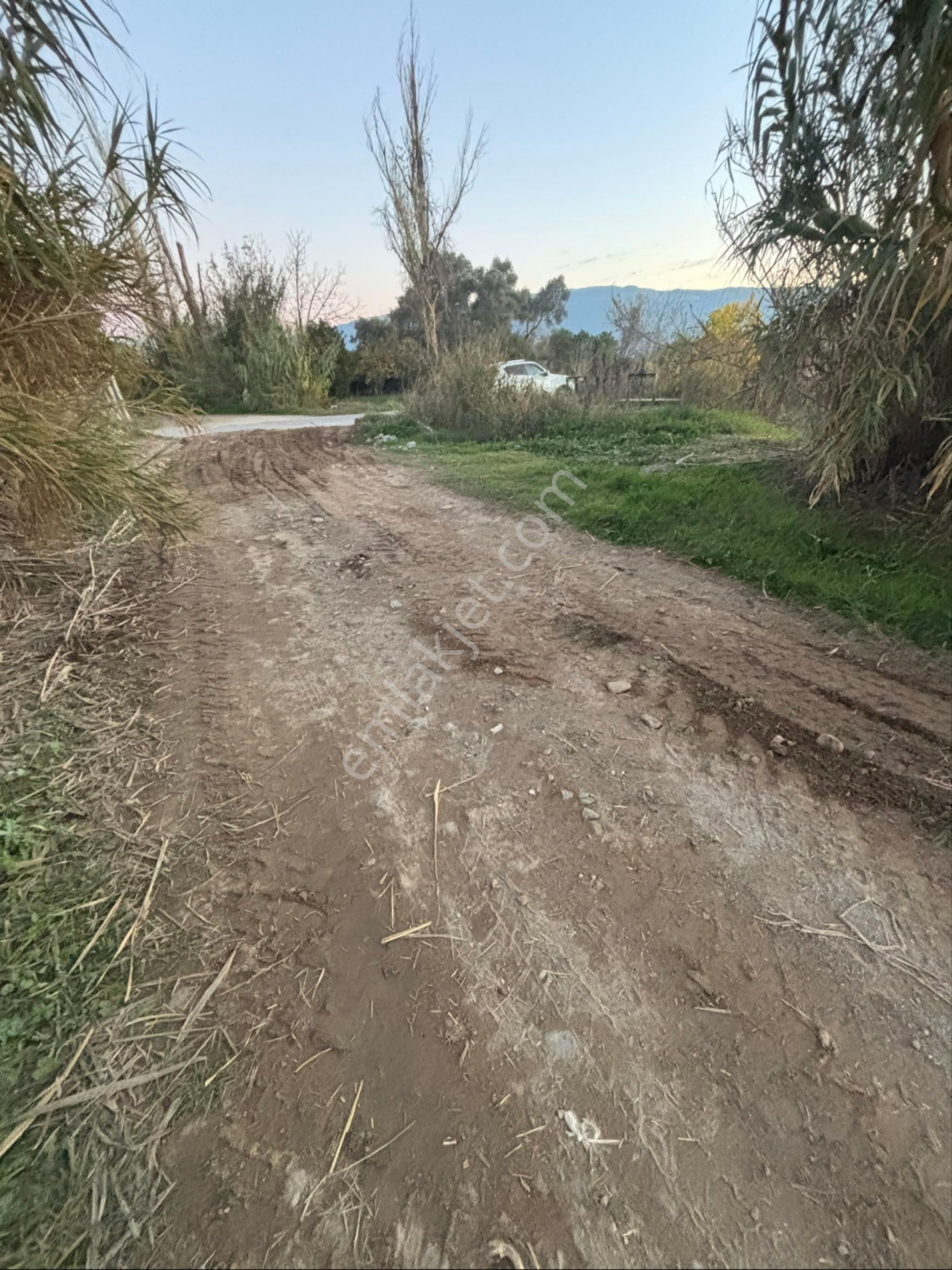 Sezgin Emlak Dan Nazilli Sinekler Asfalt Kenarı Satılık Bahçe - Görsel 4