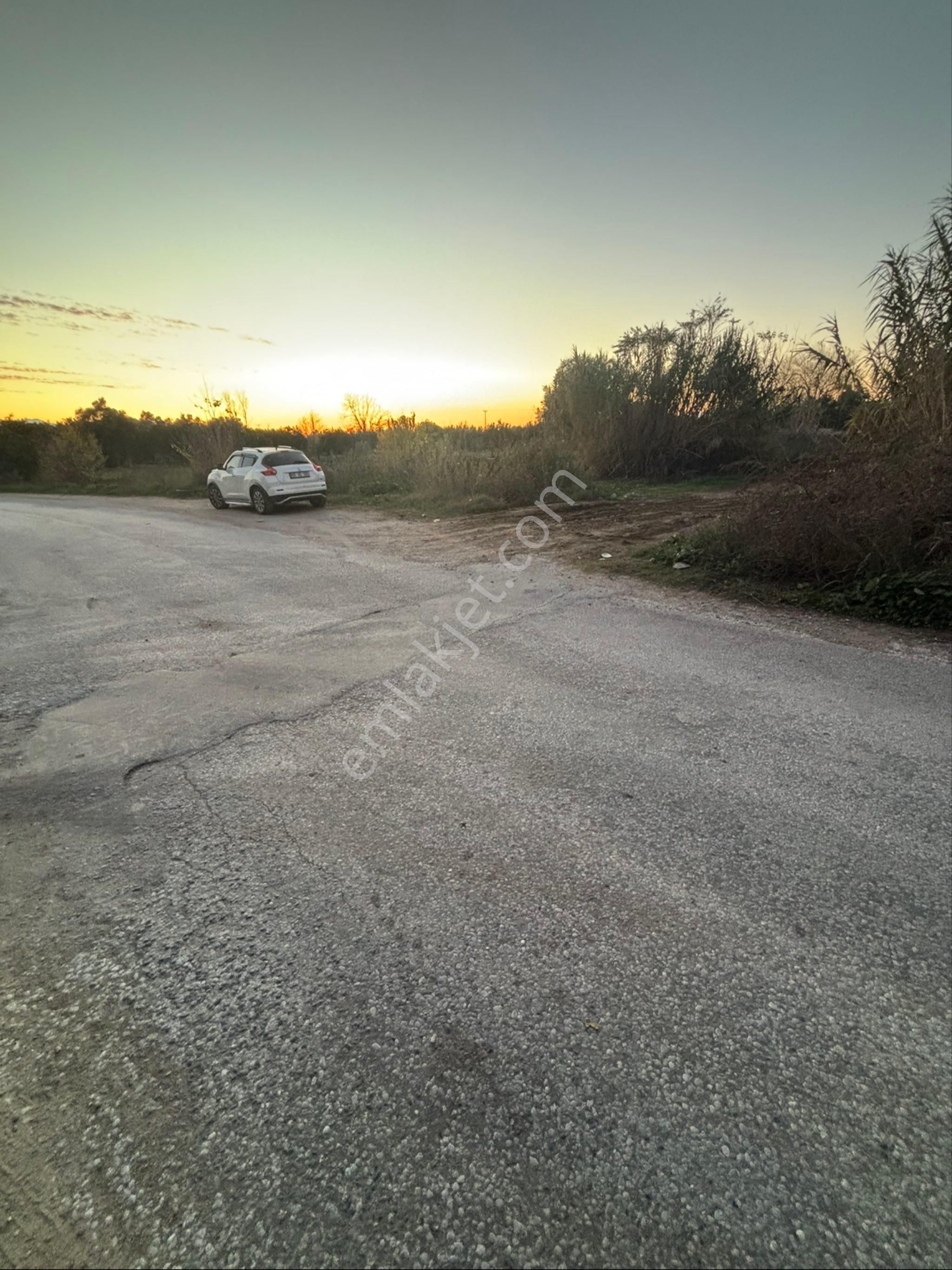 Sezgin Emlak Dan Nazilli Sinekler Asfalt Kenarı Satılık Bahçe - Görsel 6