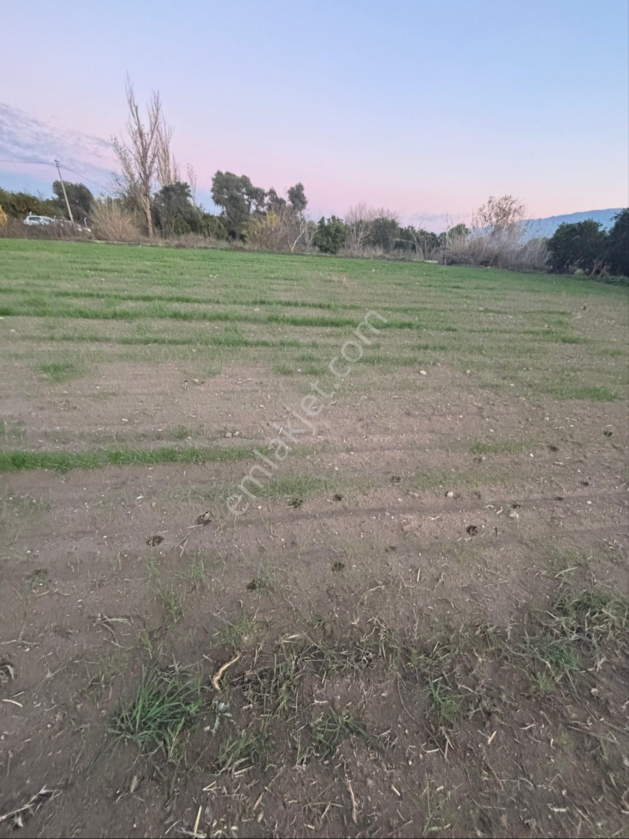 Sezgin Emlak Dan Nazilli Sinekler Asfalt Kenarı Satılık Bahçe - Görsel 12