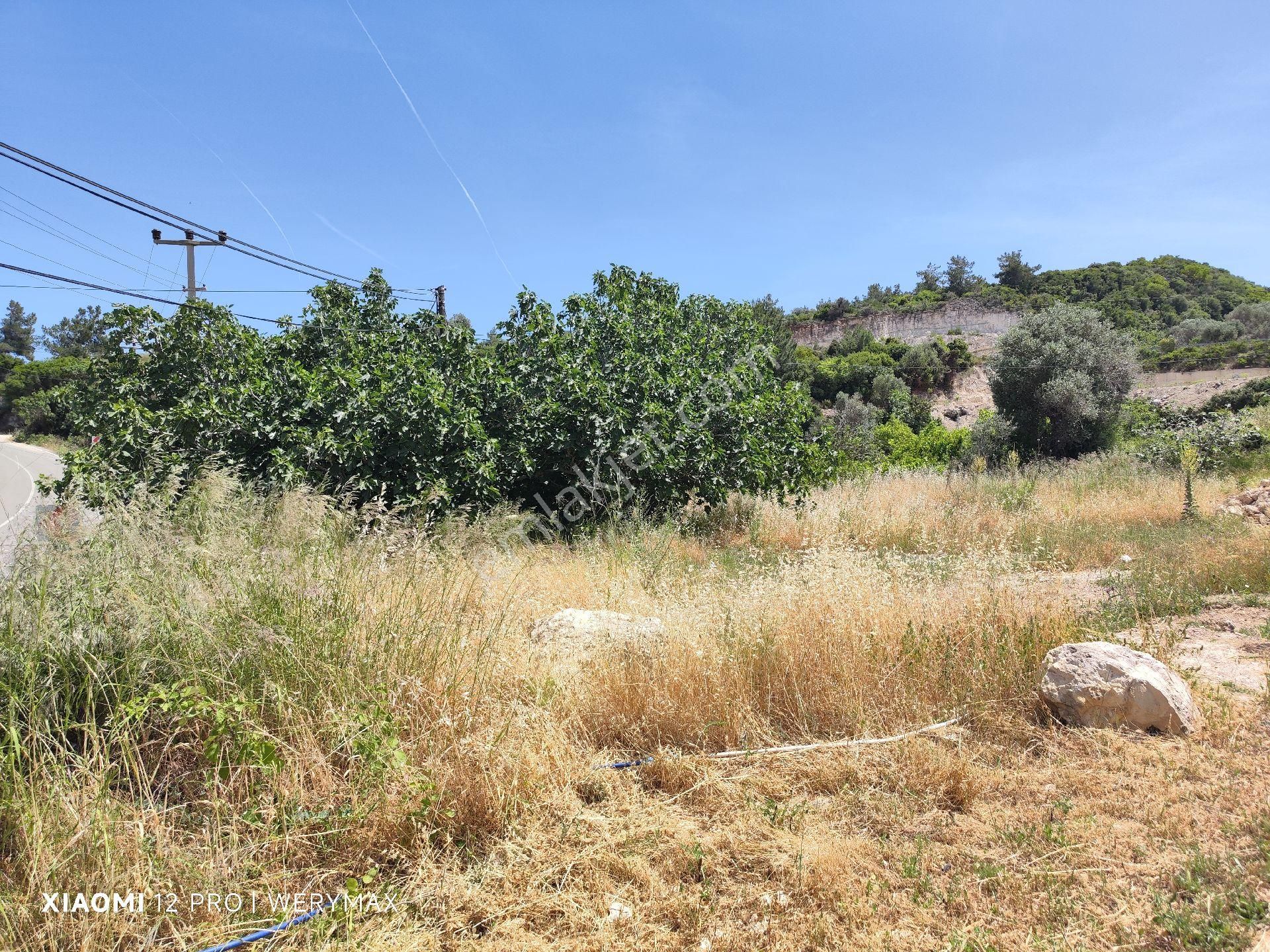 Karaburun Mordoğan İzmir Caddesine Cephe Satılık Mfull Deniz Manzaralı Arazi - Görsel 4
