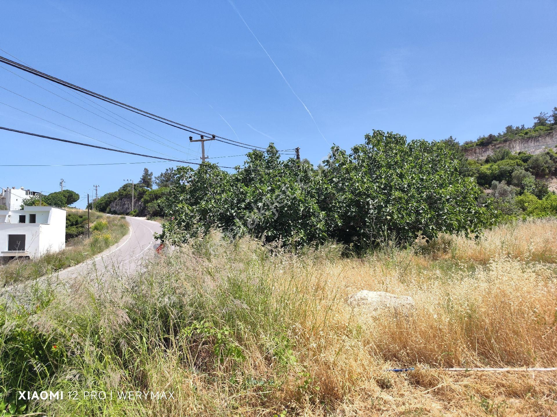 Karaburun Mordoğan İzmir Caddesine Cephe Satılık Mfull Deniz Manzaralı Arazi - Görsel 8
