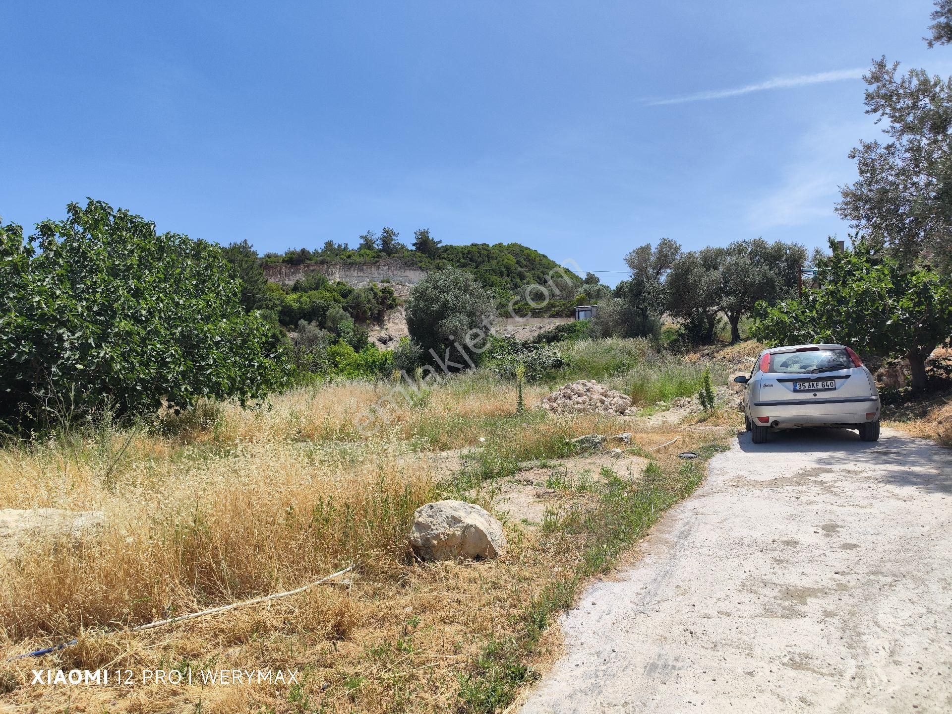 Karaburun Mordoğan İzmir Caddesine Cephe Satılık Mfull Deniz Manzaralı Arazi - Görsel 7