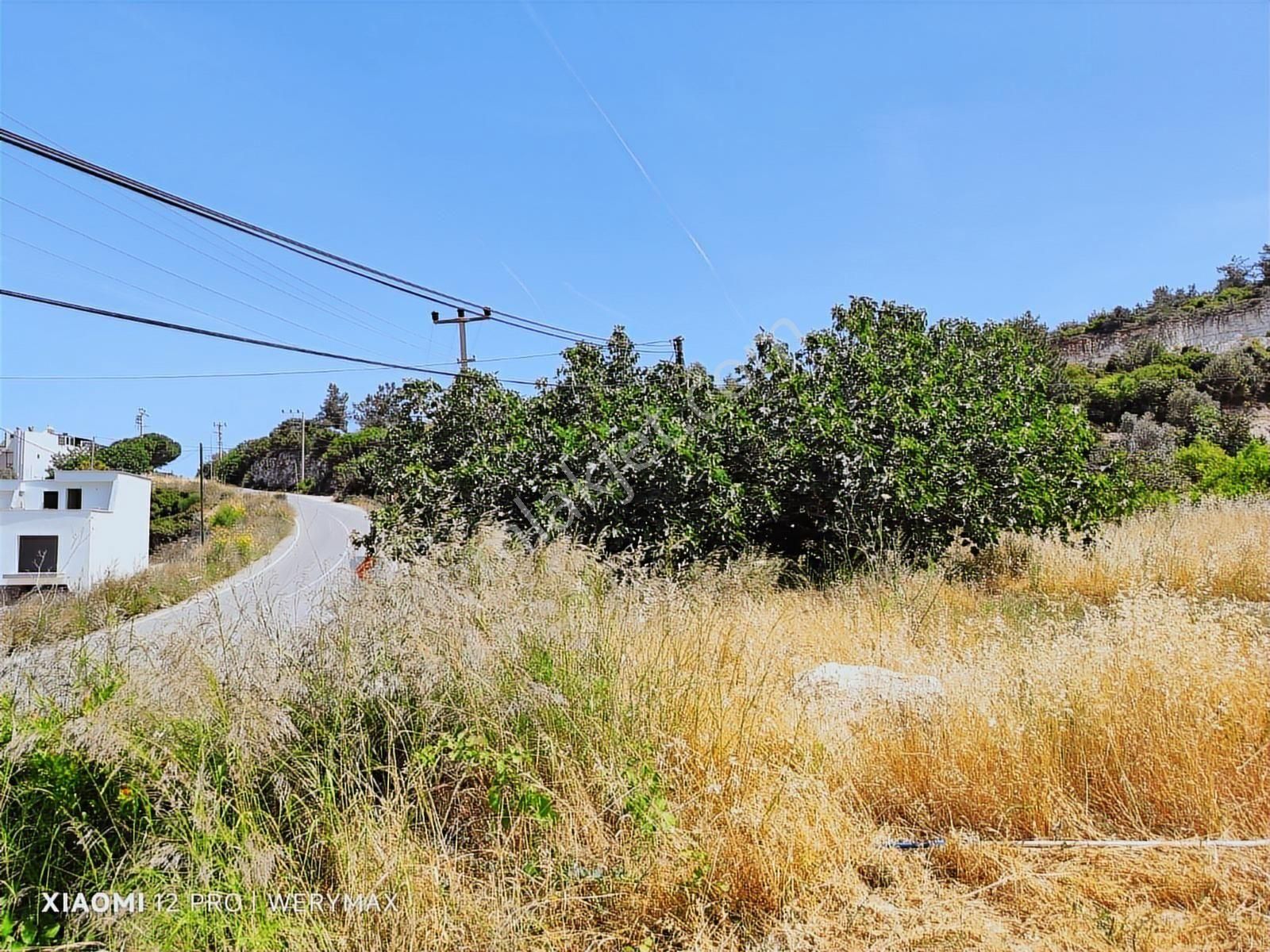 Mordoğan'da İzmir Cadde Cephe Satılık Full Deniz Manzaralı Tarla - Görsel 8