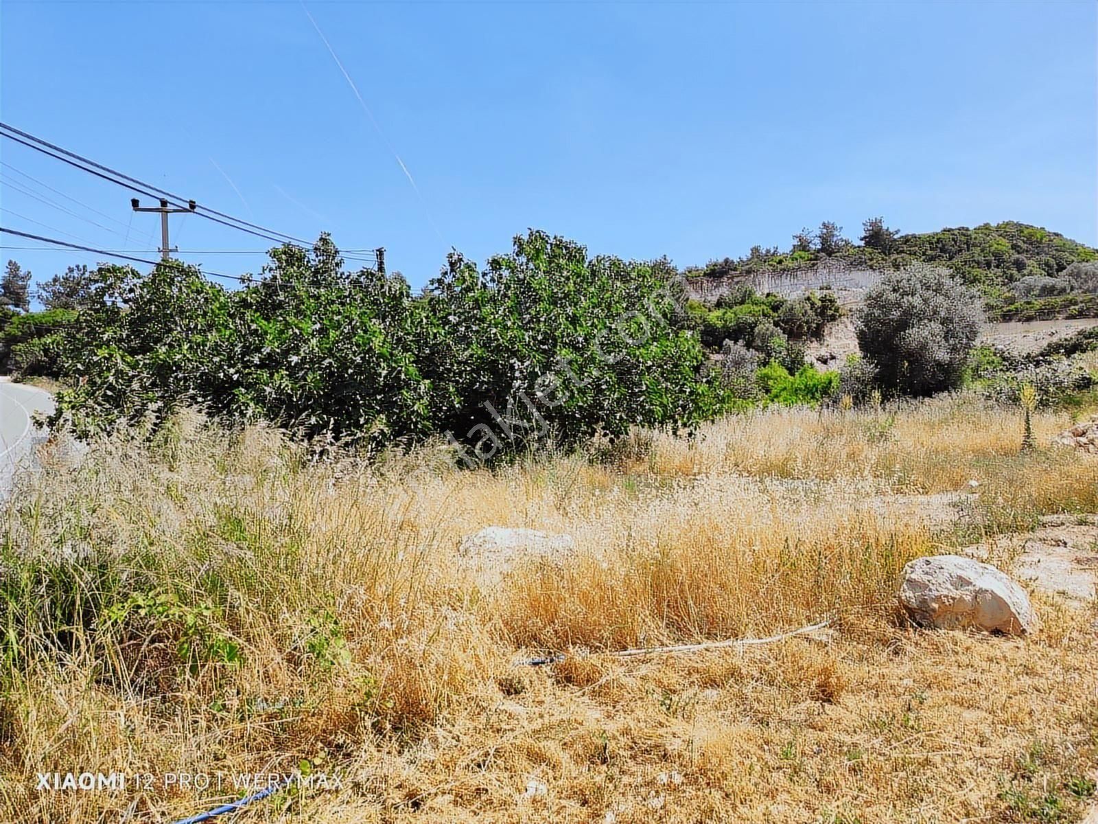 Mordoğan'da İzmir Cadde Cephe Satılık Full Deniz Manzaralı Tarla - Görsel 3