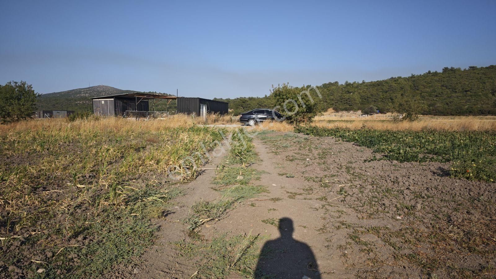 Urla Kadıovacık Mh Satılık Satılık Tek Tapu Tarla - Görsel 7