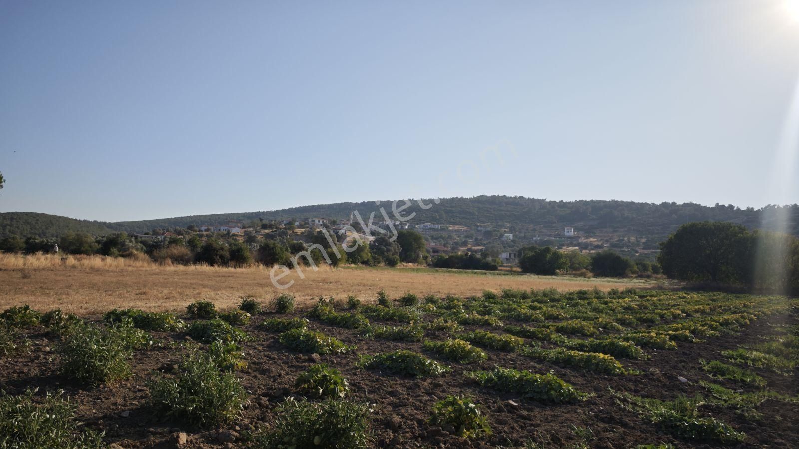 Urla Kadıovacık Mh Satılık Satılık Tek Tapu Tarla - Görsel 4
