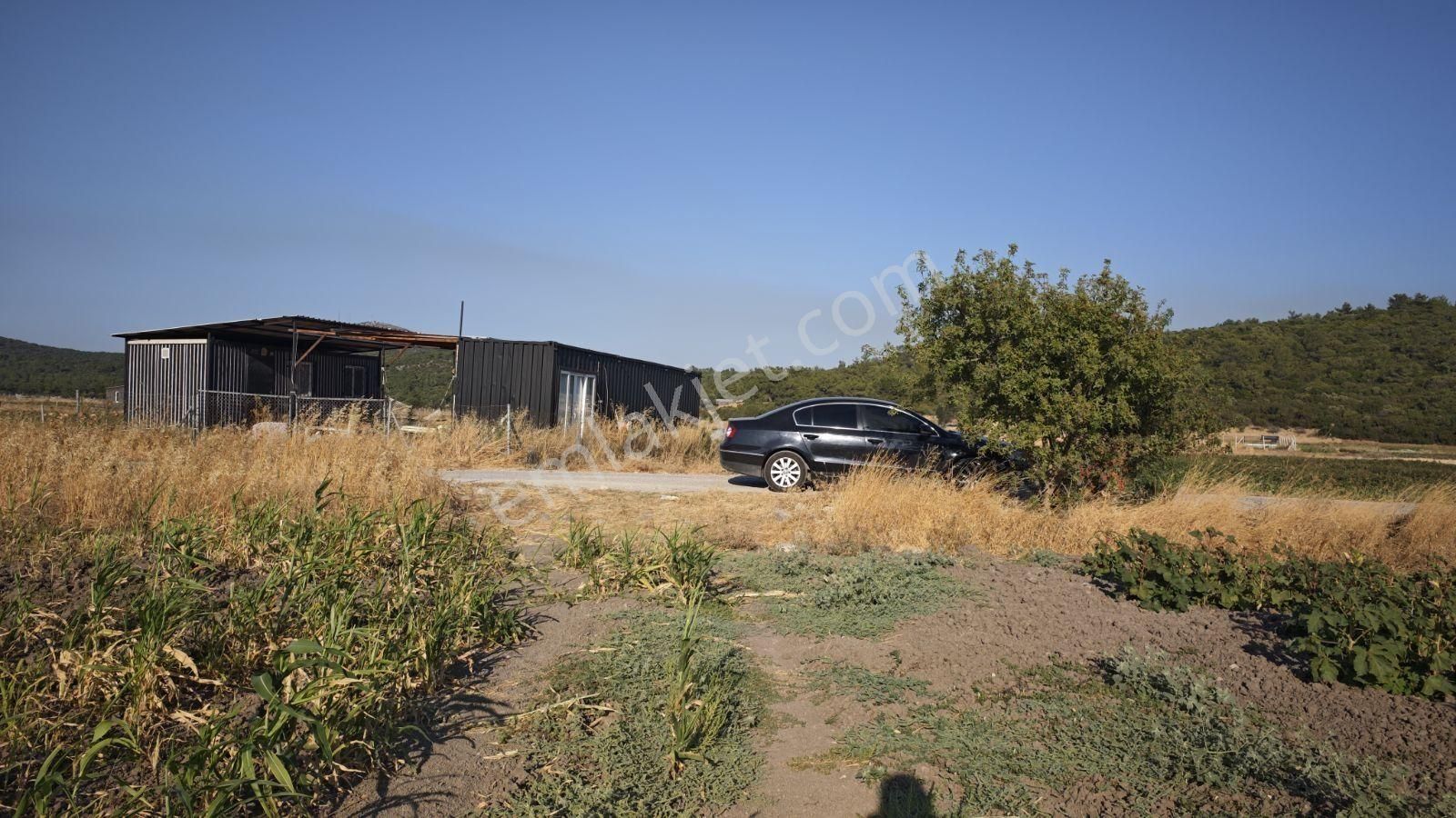 Urla Kadıovacık Mh Satılık Satılık Tek Tapu Tarla - Görsel 2