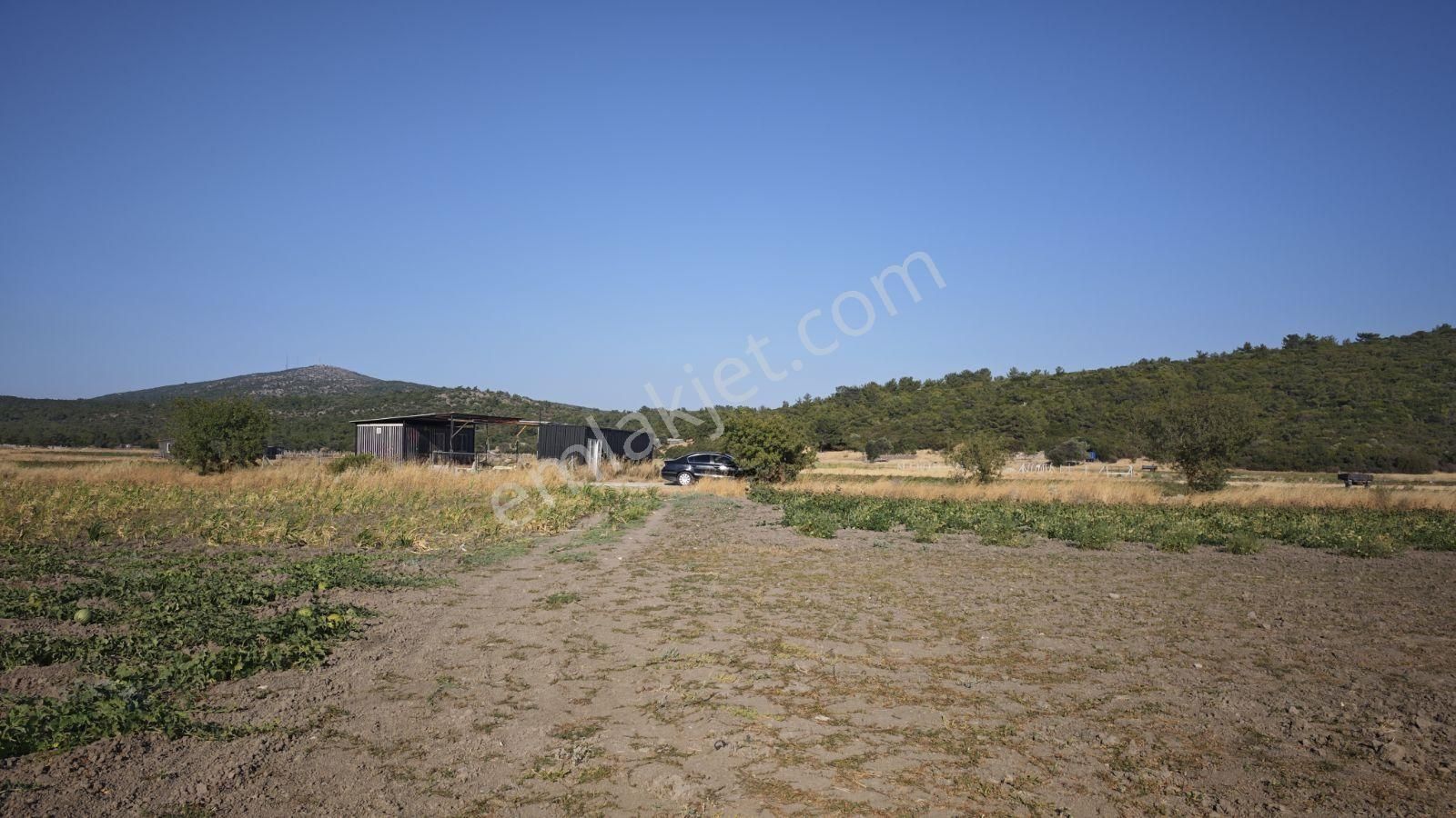 Urla Kadıovacık Mh Satılık Satılık Tek Tapu Tarla - Görsel 21