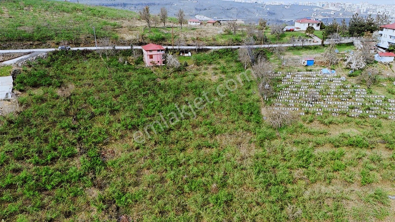 Ulu Gayrimenkul'den Karacaömer Mah. 3600m² Satılık Arsa - Görsel 11