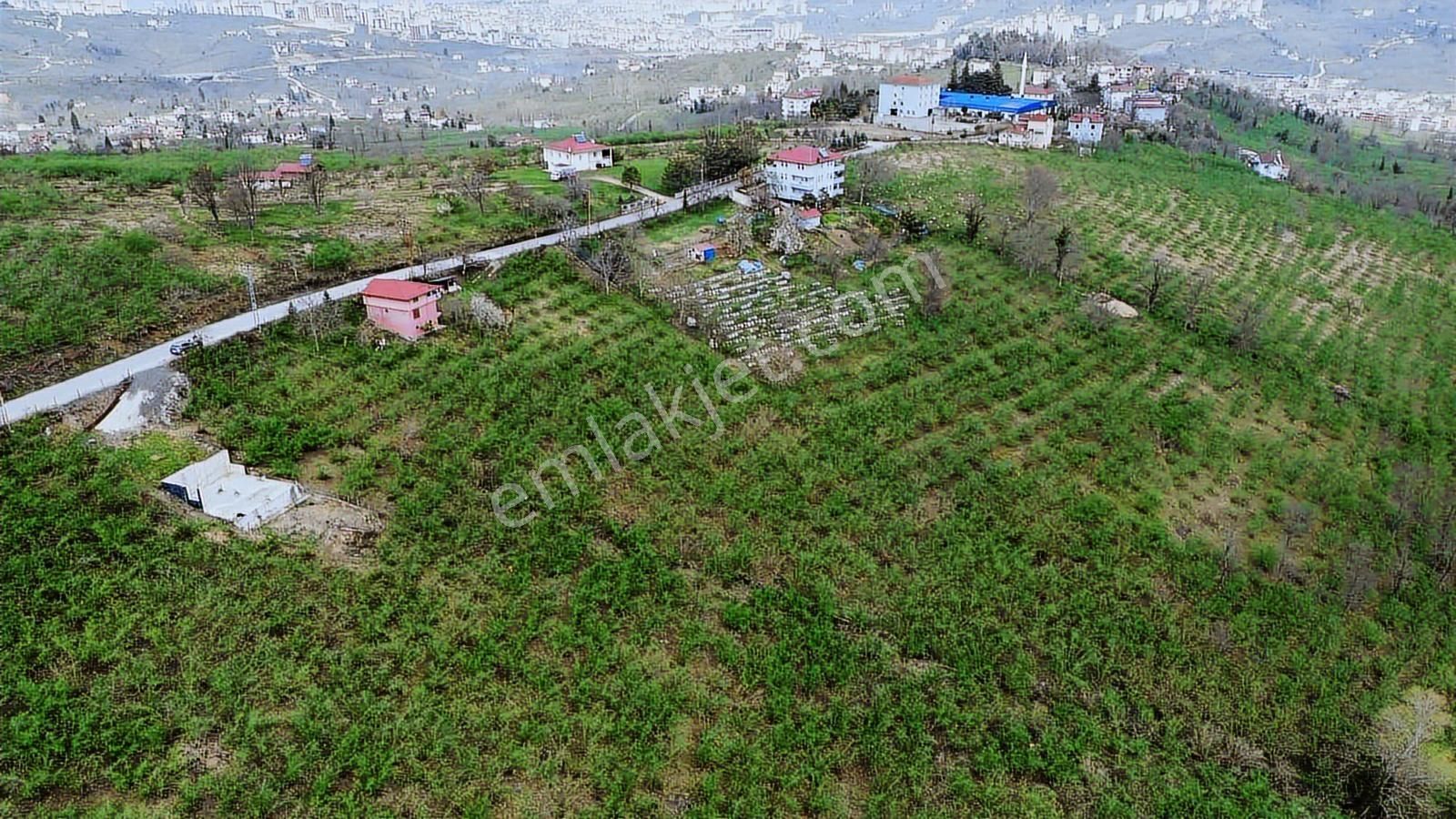 Ulu Gayrimenkul'den Karacaömer Mah. 3600m² Satılık Arsa - Görsel 10