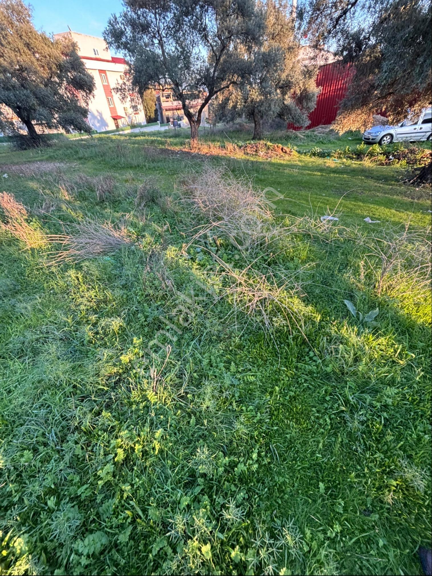 Pınarbaşı Mahallesi Satılık İmarlı Arsa - Görsel 14