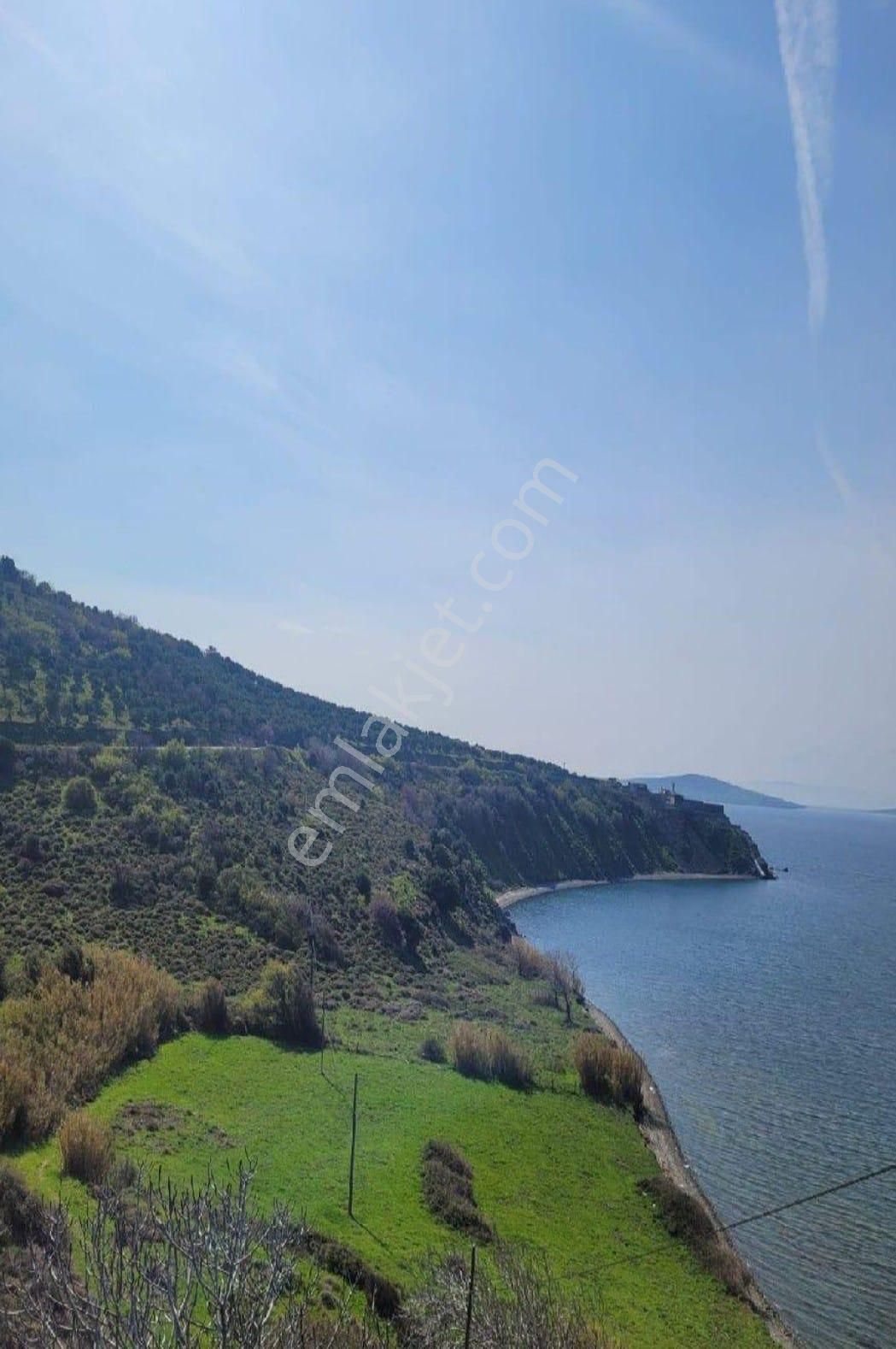 Se&as Exclusıve: Erdek İlhanlar'da Yatırımlık Fırsat Arsa !!!