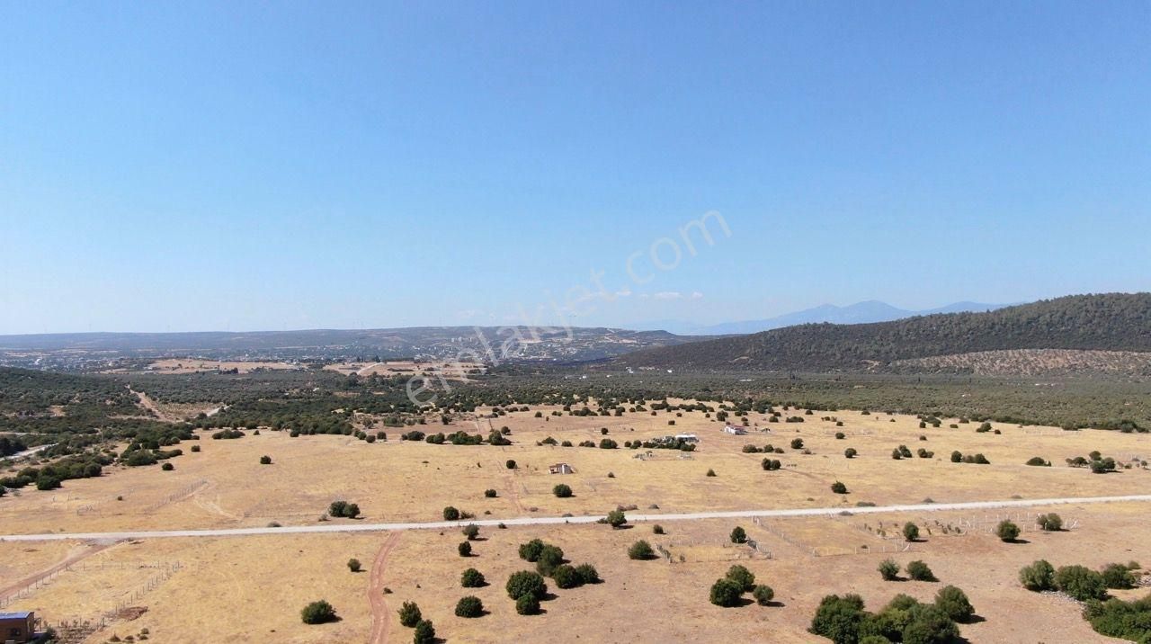 Didim Akyeniköy İmarlı Villa Arsası 303 M2 - Görsel 13