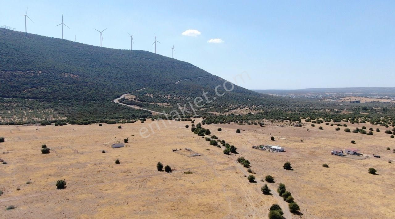 Didim Akyeniköy İmarlı Villa Arsası 303 M2 - Görsel 5