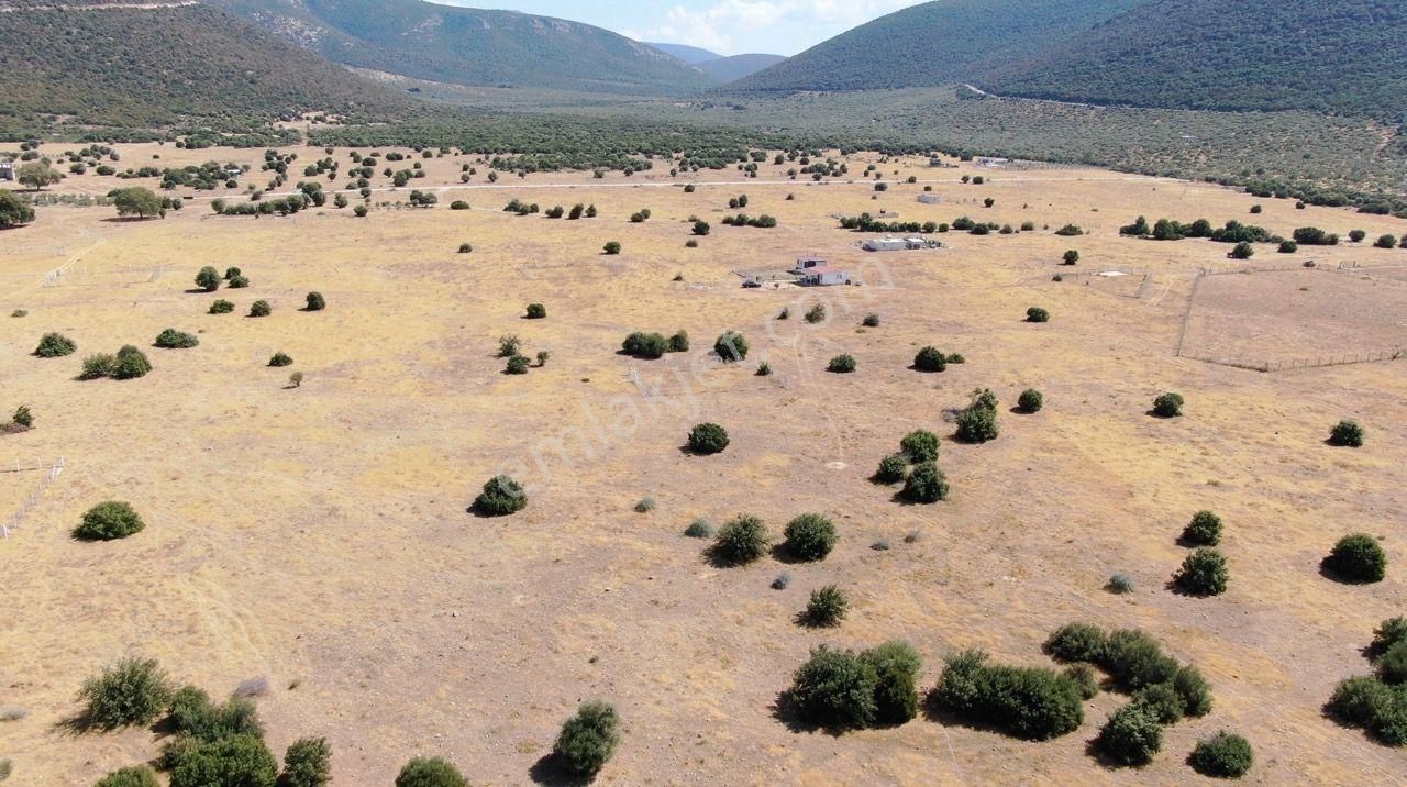 Didim Akyeniköy İmarlı Villa Arsası 303 M2 - Görsel 10