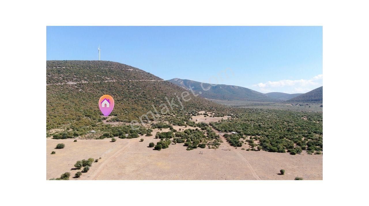 Didim Akyeniköy İmarlı Villa Arsası 303 M2 - Görsel 4