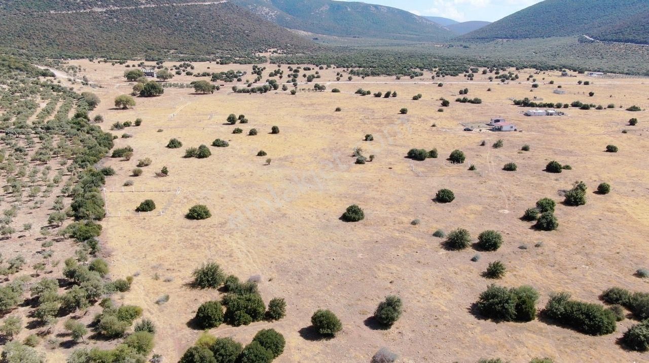 Didim Akyeniköy İmarlı Villa Arsası 303 M2 - Görsel 11