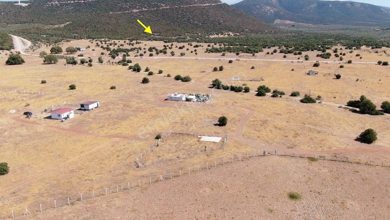 Didim Akyeniköy İmarlı Villa Arsası 303 M2 - Görsel 2