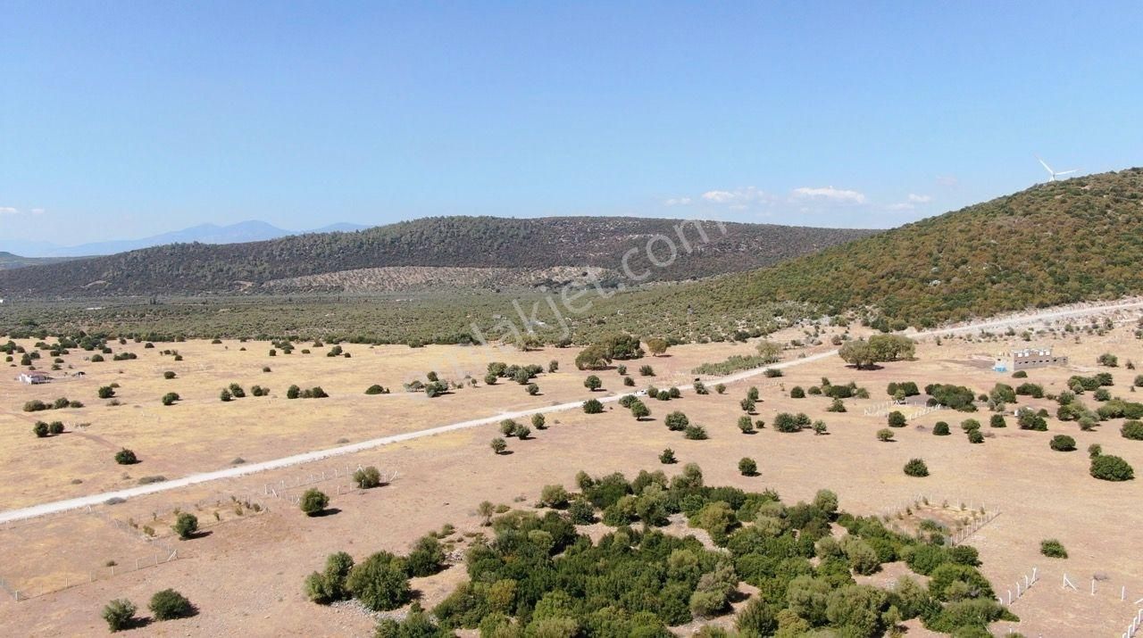 Didim Akyeniköy İmarlı Villa Arsası 303 M2 - Görsel 14