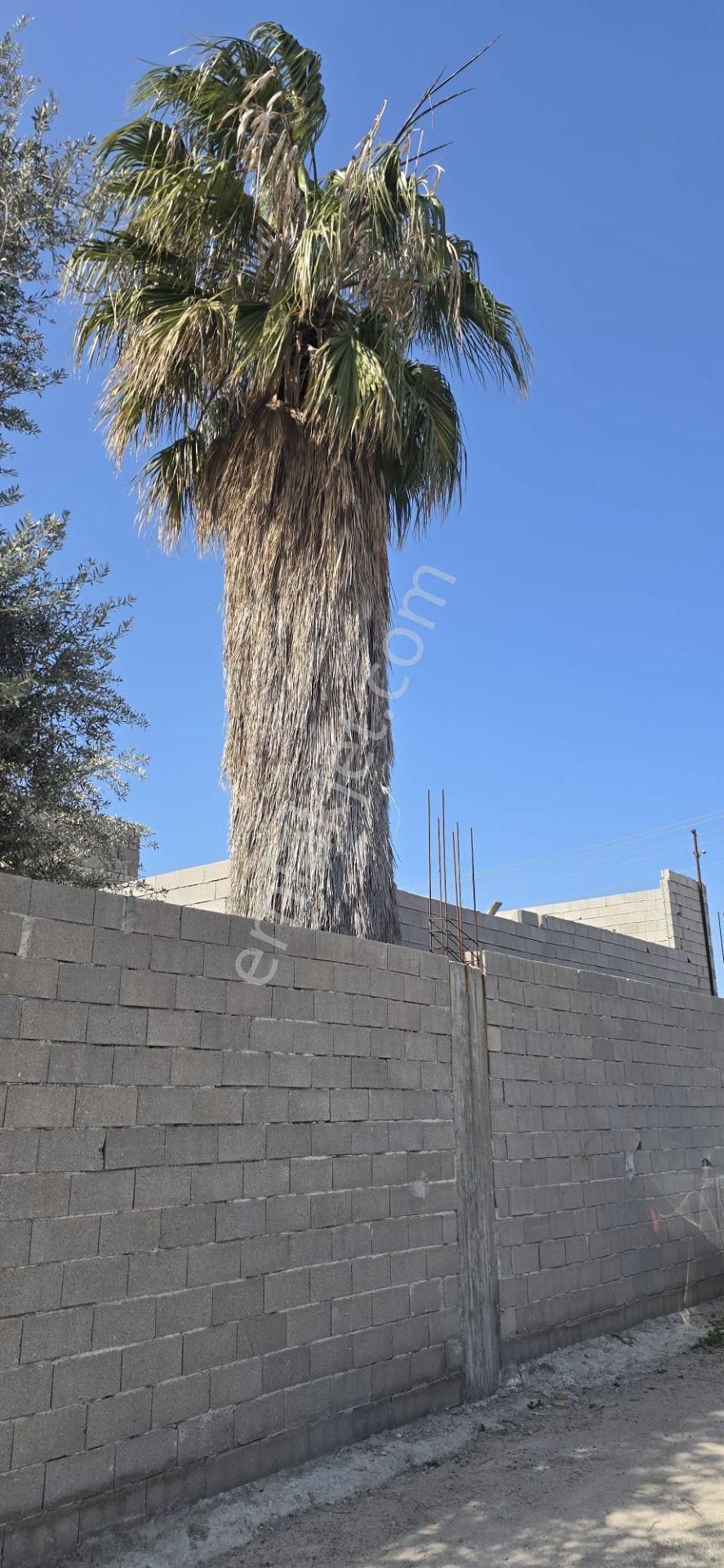 Mersin Akdeniz Tekkede Geniş Kullanımlı Arsa Satılık - Görsel 19