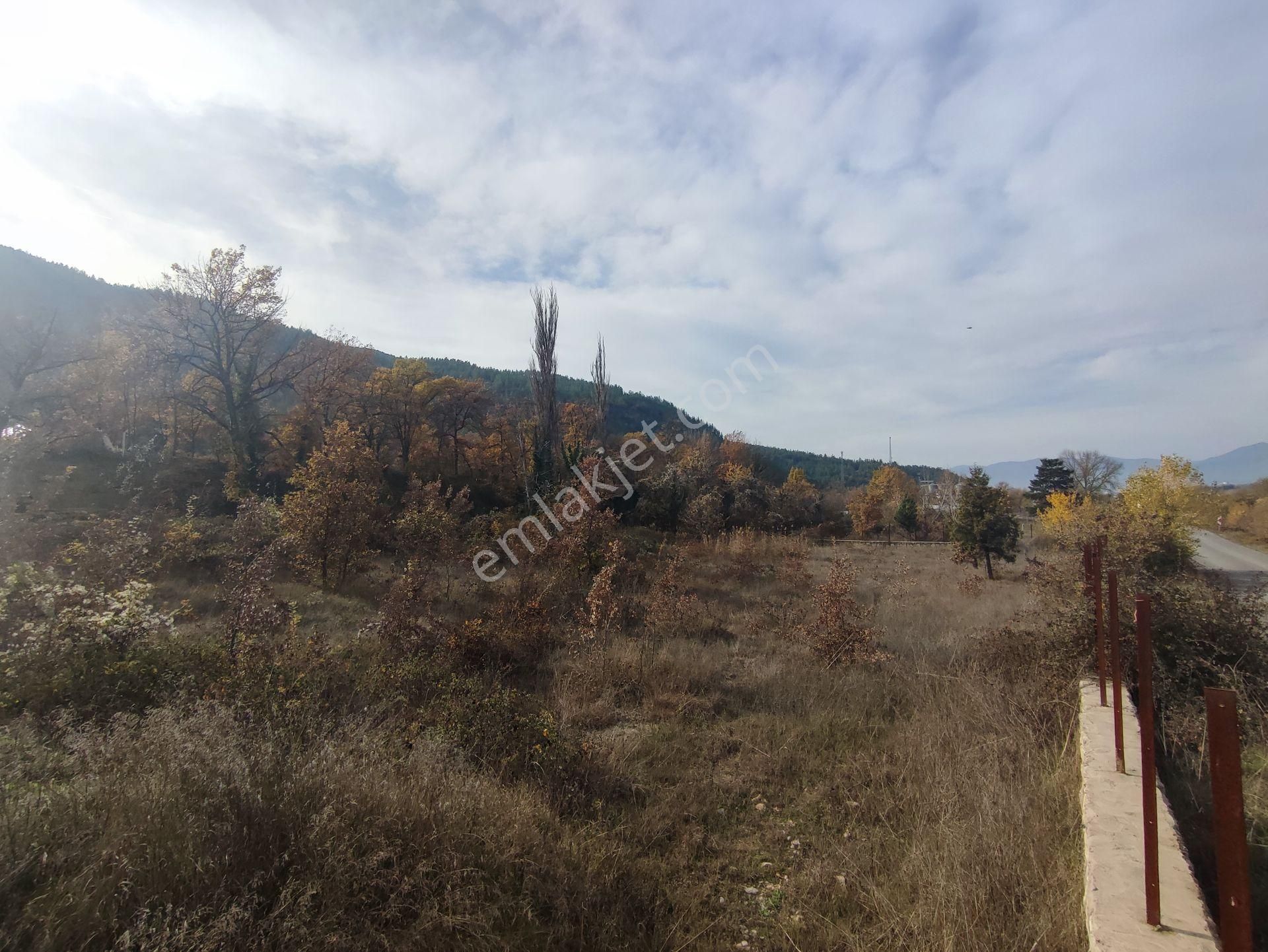 Wisrem Safranboludan Çevrik Köprüde Turizm Ticari İmarlı Arsa - Görsel 10