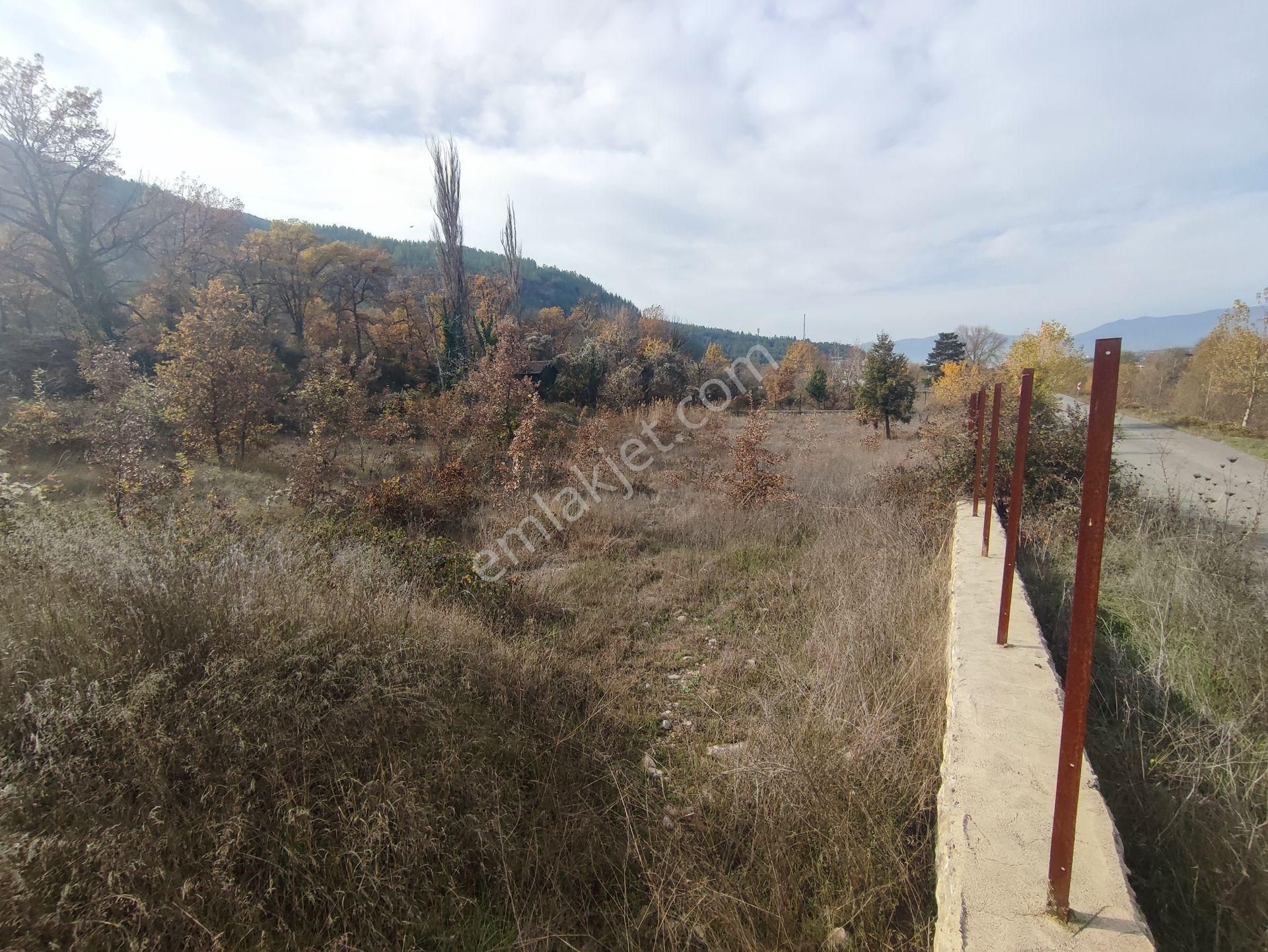 Wisrem Safranboludan Çevrik Köprüde Turizm Ticari İmarlı Arsa - Görsel 9