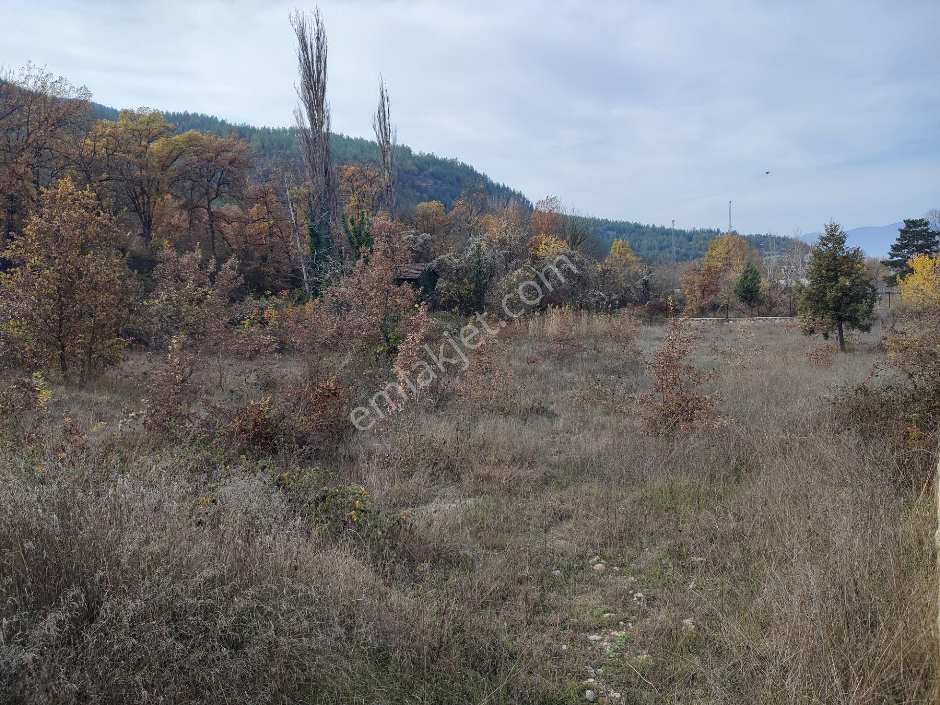 Wisrem Safranboludan Çevrik Köprüde Turizm Ticari İmarlı Arsa - Görsel 19