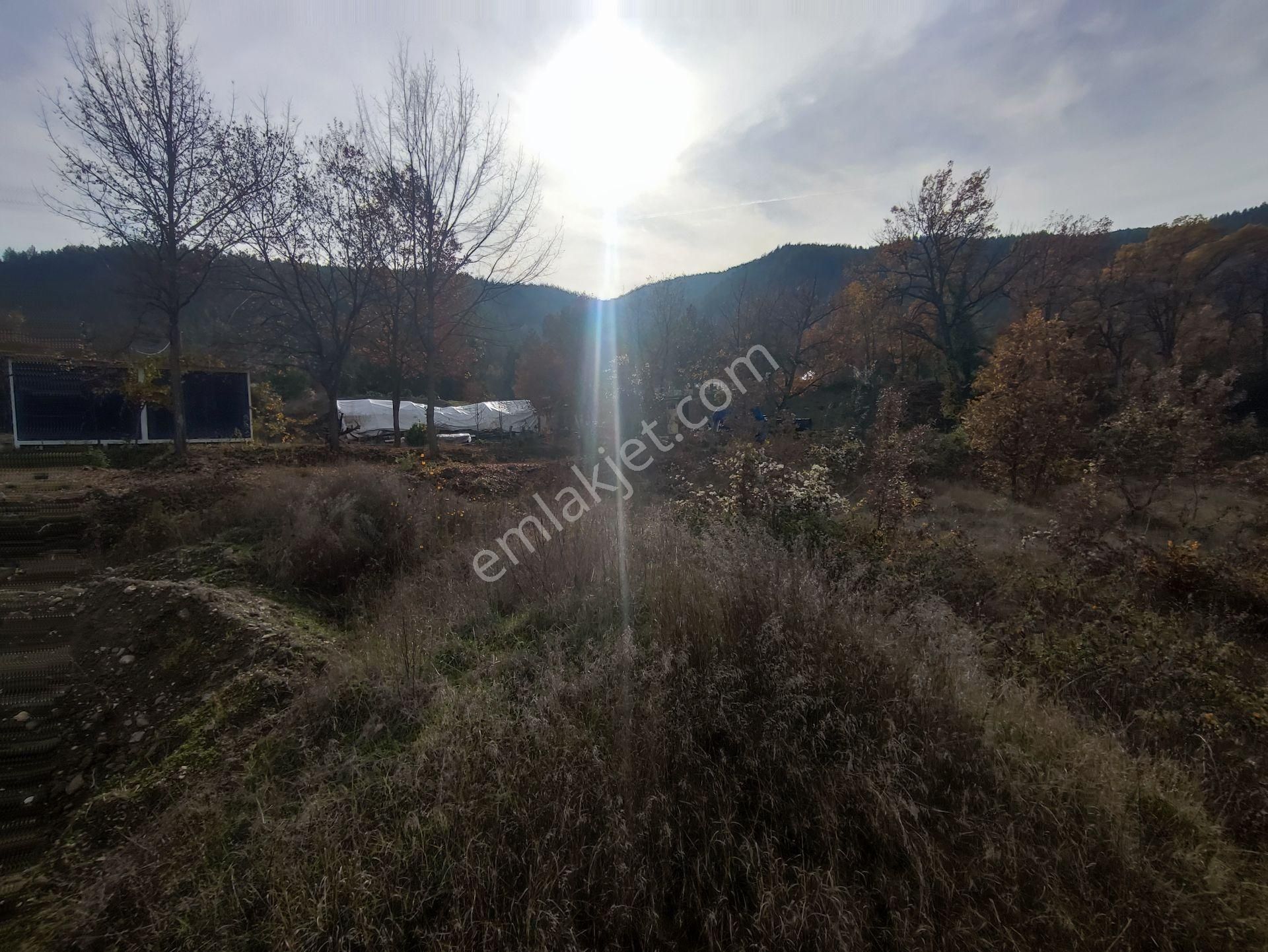 Wisrem Safranboludan Çevrik Köprüde Turizm Ticari İmarlı Arsa - Görsel 17