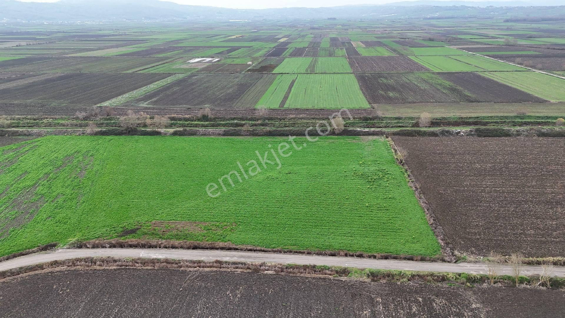 Remax Hür Tahsin Çetinkaya'dan Serdivan Şehir Hastanesi Aksında Müstakil Arsa