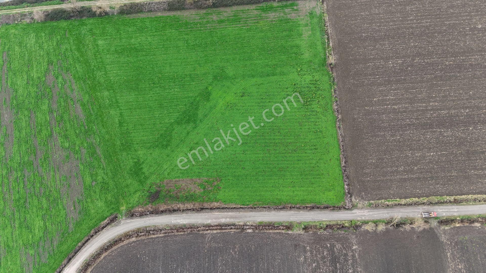 Remax Hür Tahsin Çetinkaya'dan Serdivan Şehir Hastanesi Aksında Müstakil Arsa - Görsel 9