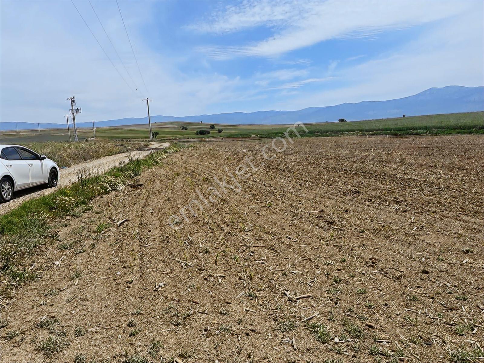 4349 Mt Arazi.yolu Var..ilçe Merkezine,organize Sanayine Yakın - Görsel 12