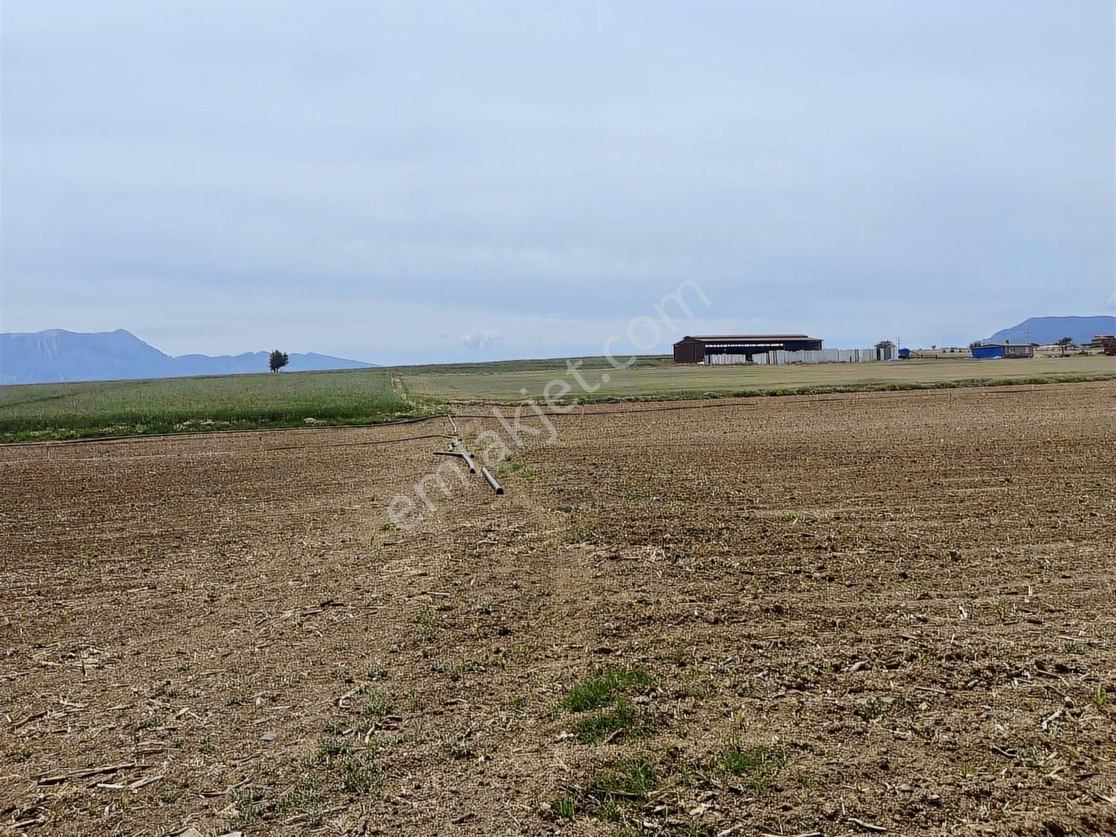 4349 Mt Arazi.yolu Var..ilçe Merkezine,organize Sanayine Yakın - Görsel 16