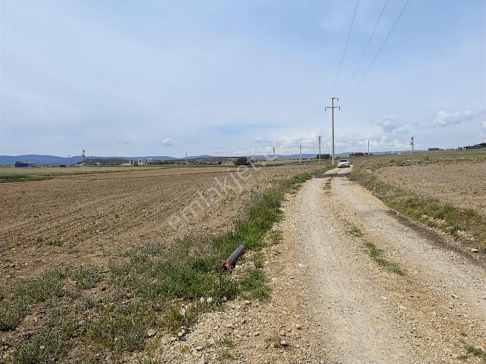 4349 Mt Arazi.yolu Var..ilçe Merkezine,organize Sanayine Yakın - Görsel 17