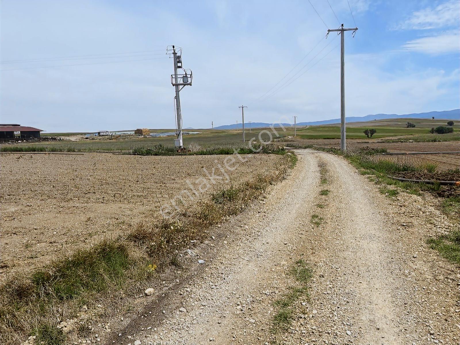 4349 Mt Arazi.yolu Var..ilçe Merkezine,organize Sanayine Yakın - Görsel 8
