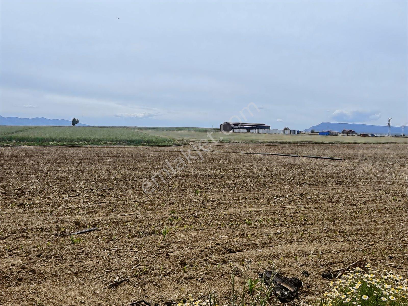 4349 Mt Arazi.yolu Var..ilçe Merkezine,organize Sanayine Yakın - Görsel 14