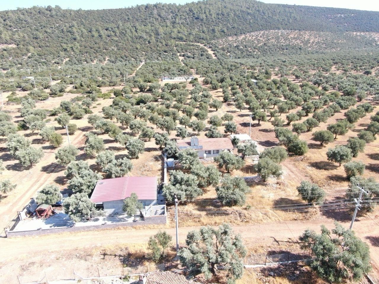 Didim Akyeniköy Kardelen Arsası Villa İmarlı - Görsel 11