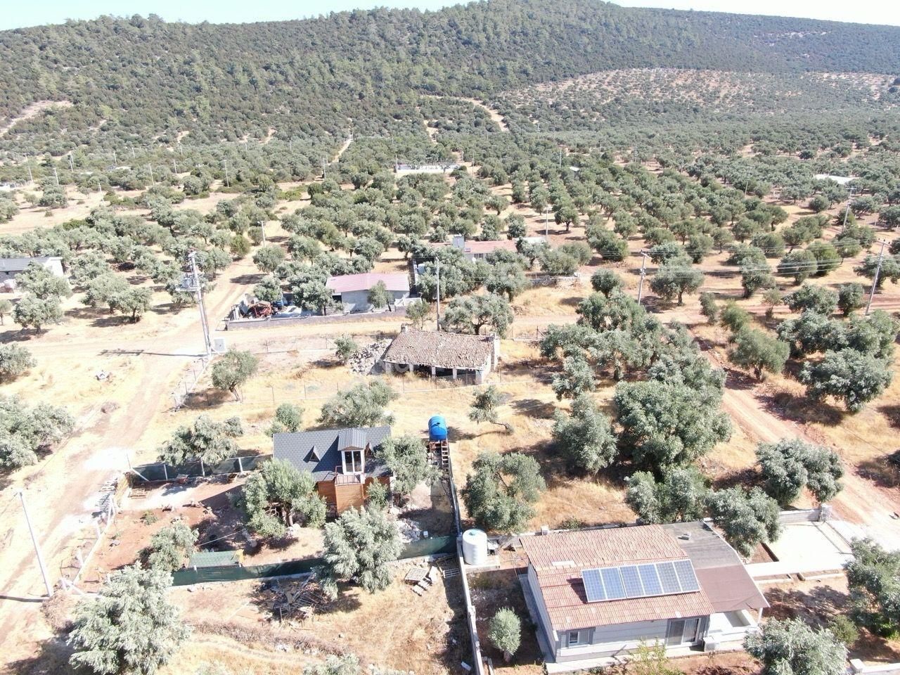 Didim Akyeniköy Kardelen Arsası Villa İmarlı - Görsel 10