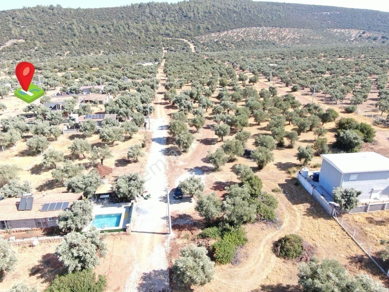 Didim Akyeniköy Kardelen Arsası Villa İmarlı - Görsel 4