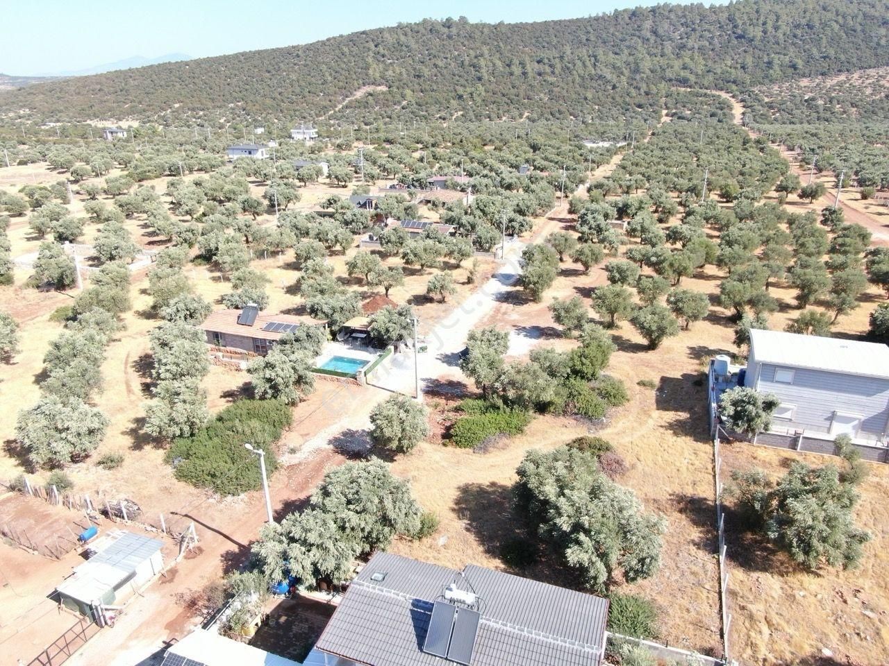 Didim Akyeniköy Kardelen Arsası Villa İmarlı - Görsel 8