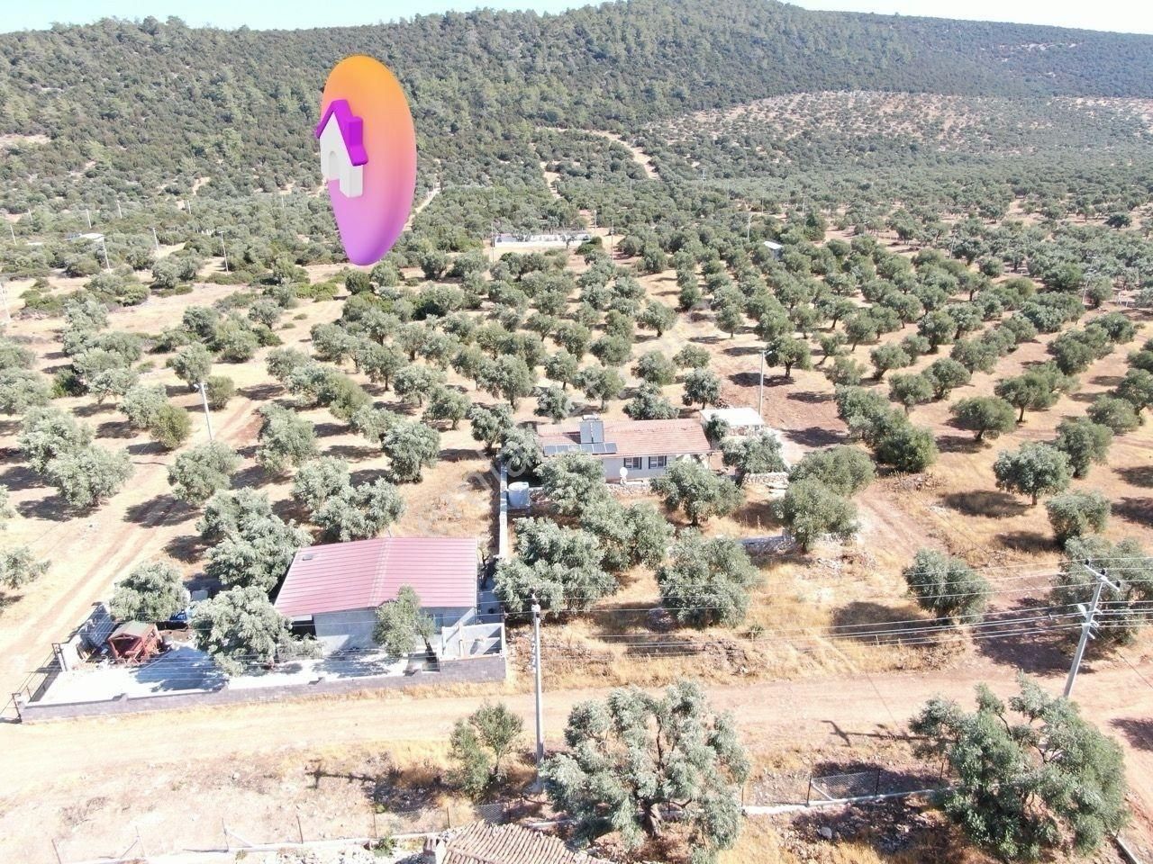 Didim Akyeniköy Kardelen Arsası Villa İmarlı - Görsel 2
