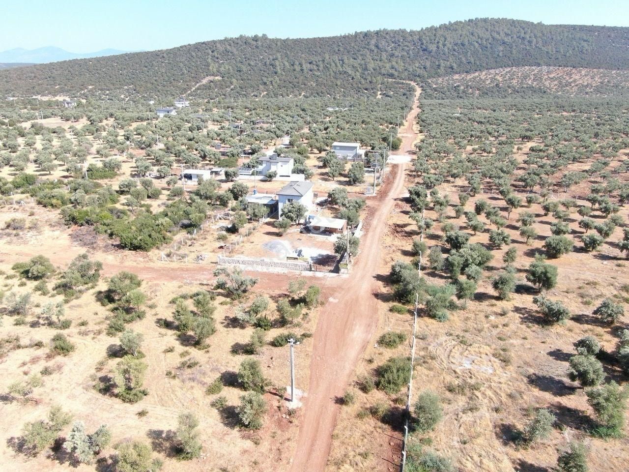 Didim Akyeniköy Kardelen Arsası Villa İmarlı - Görsel 7