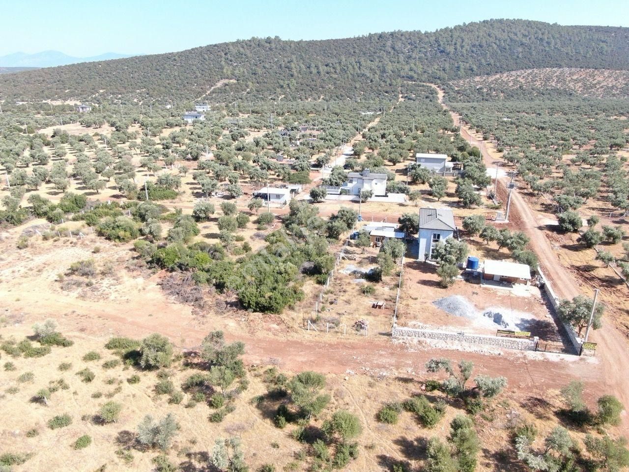 Didim Akyeniköy Kardelen Arsası Villa İmarlı - Görsel 6