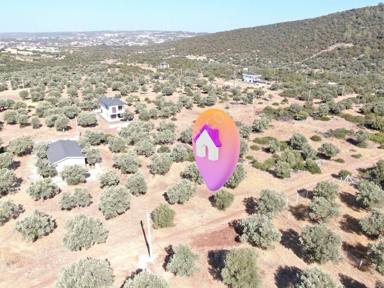 Didim Akyeniköy Kardelen Arsası Villa İmarlı - Görsel 12