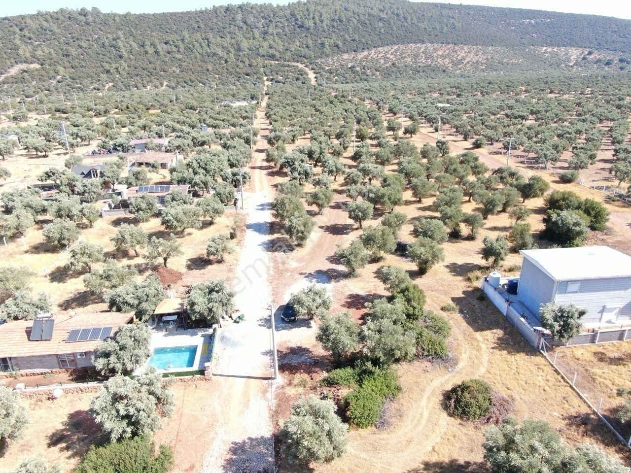 Didim Akyeniköy Kardelen Arsası Villa İmarlı - Görsel 9