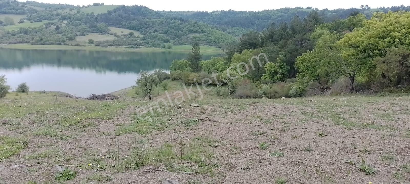 Se&as Exclusıve: Çanakale Yenice Çınarcık'da Satılık Arazi - Görsel 2