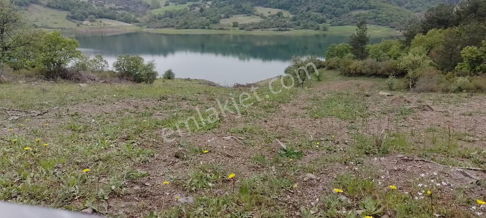 Se&as Exclusıve: Çanakale Yenice Çınarcık'da Satılık Arazi - Görsel 4